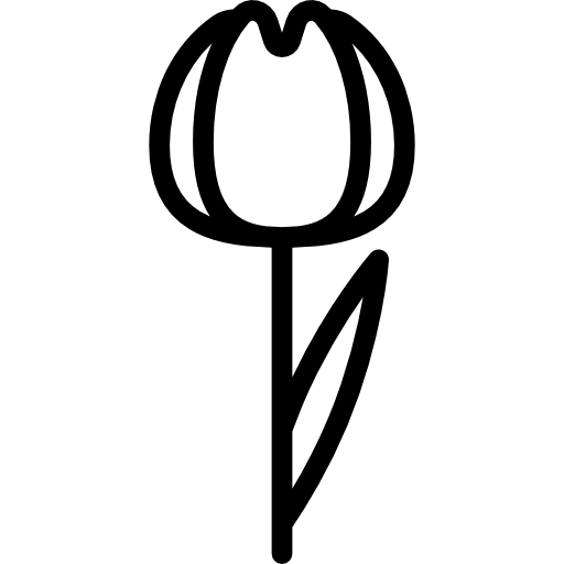 Tulip