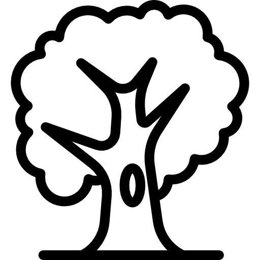 Oak