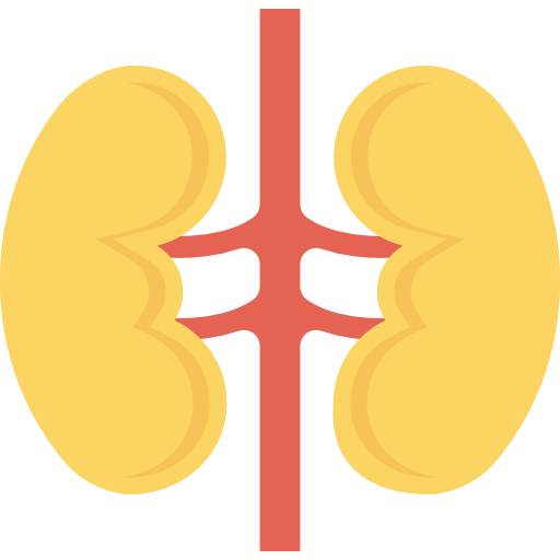 Kidneys