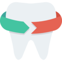 medical,healthcare and medical,teeth,dentist,tooth,dental,premolar,caries