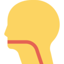 hospital,medical,healthcare and medical,head,mouth,ent,throat