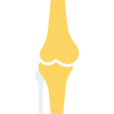 healthcare and medical,body parts,bones,anatomy,knee,joint,articulation