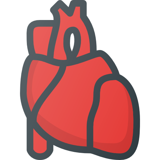 Heart