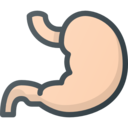 medical,healthcare and medical,body parts,organ,anatomy,stomach