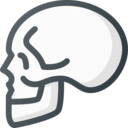 medical,signs,healthcare and medical,dead,skull,anatomy,poisonous