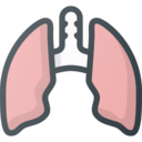 medical,healthcare and medical,organ,anatomy,breath,lungs,lung