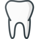 medical,healthcare and medical,teeth,dentist,tooth,dental,premolar,caries