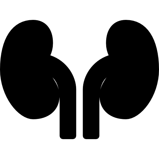 Kidneys
