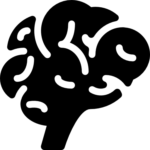 Brain