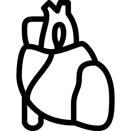 Heart