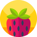 food,vegan,healthy food,food and restaurant,organic,diet,vegetarian,fruit,strawberry ok 