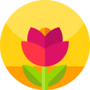 nature,botanical,flower,blossom,petals ok 