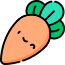 carrot,vegetable,vegan,healthy food,food and restaurant,organic,diet,vegetarian