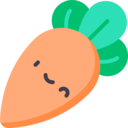 carrot,vegetable,vegan,healthy food,food and restaurant,organic,diet,vegetarian