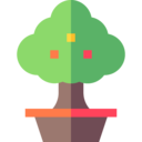 ecology and environment,ecology,nature,botanical,tree,gardening,garden,yard,fruit tree