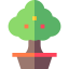 Greenhouse icon 64x64