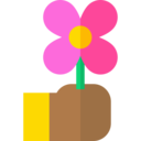 care,nature,hand,farming and gardening,gardening,flower,blossom,giving,petal