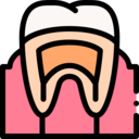 healthcare and medical,structure,teeth,dentist,tooth,dental,gums