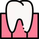 medical,healthcare and medical,dentist,tooth,molar,gums