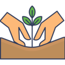 hand,farming and gardening,sprout,soil,planting ok 
