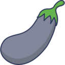 vegetable,vegan,healthy food,food and restaurant,farming and gardening,eggplant ok 