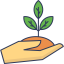Favicon
