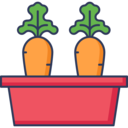pot,farming and gardening,plant pot,carrots ok 