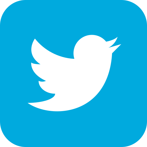 Applications, media, social, twitter icon
