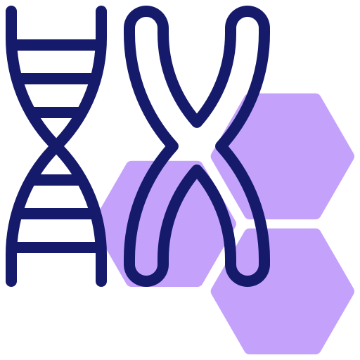 Dna