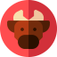 Chinese Zodiac icon 64x64