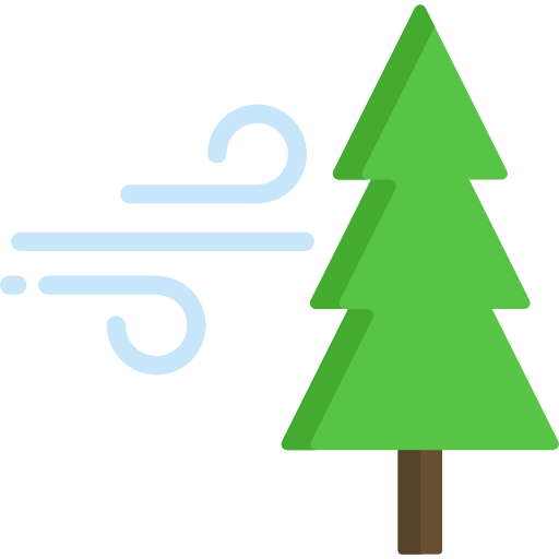 Pine
