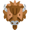 animals,mammal,wildlife,animal,america,wild,bison