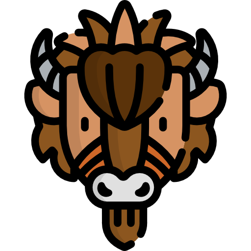 Bison