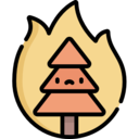 ecology and environment,fire,burning,tree,forest,disaster,flammable,forest fire,burning tree,conflagration