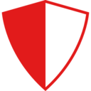 shield,security,protection,defense,weapons
