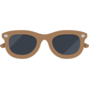 fashion,accessory,protection,sunglasses,eyeglasses