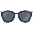 fashion,accessory,protection,sunglasses,eyeglasses