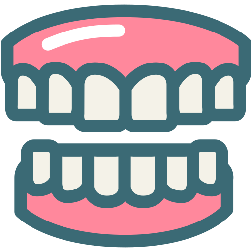 Dental, dentist, dentistry, denture, gums, medical, tooth icon
