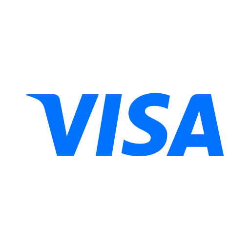 Media, payment, social, visa icon