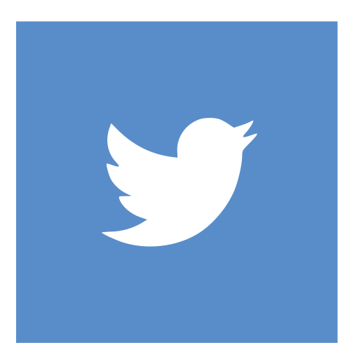Square, twitter, blue icon