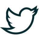 Bird,News,Tweet,Twitter