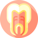 medical,healthcare and medical,dentist,tooth,dental,molar