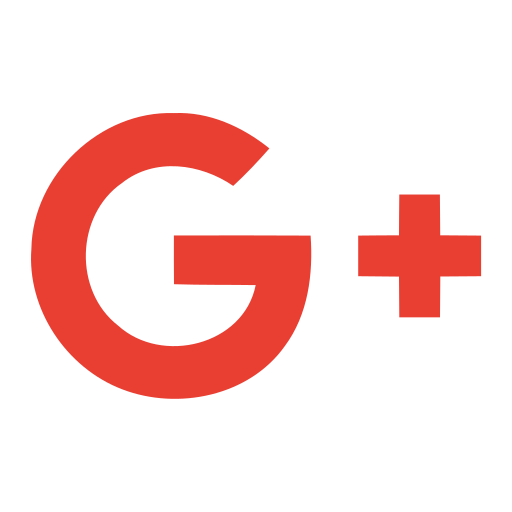 Google, logo, network, social icon