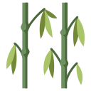 Bamboo,Branch,Forest,Leaf,Nature,Plant,Tree