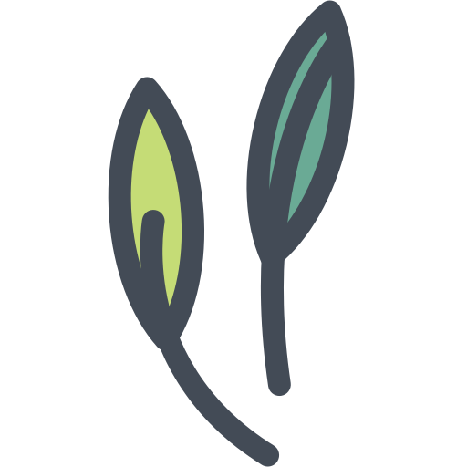 Food, leaves, nature, salad, vegetable icon