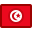 Flag, tunisia icon