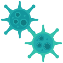 Bacteria,Cell,Infection,Virus,Coronavirus,Covid19