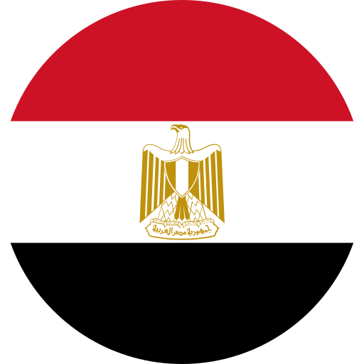 Flag, egypt, country, world icon