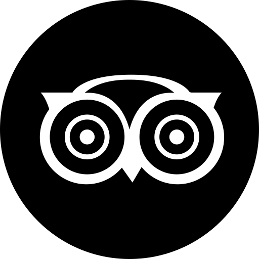 Trip, advisor icon