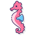 animals,aquarium,sea life,animal,aquatic,seahorse